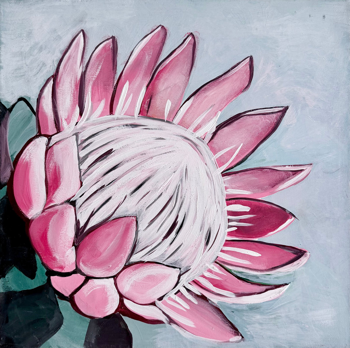 Protea in Bloom