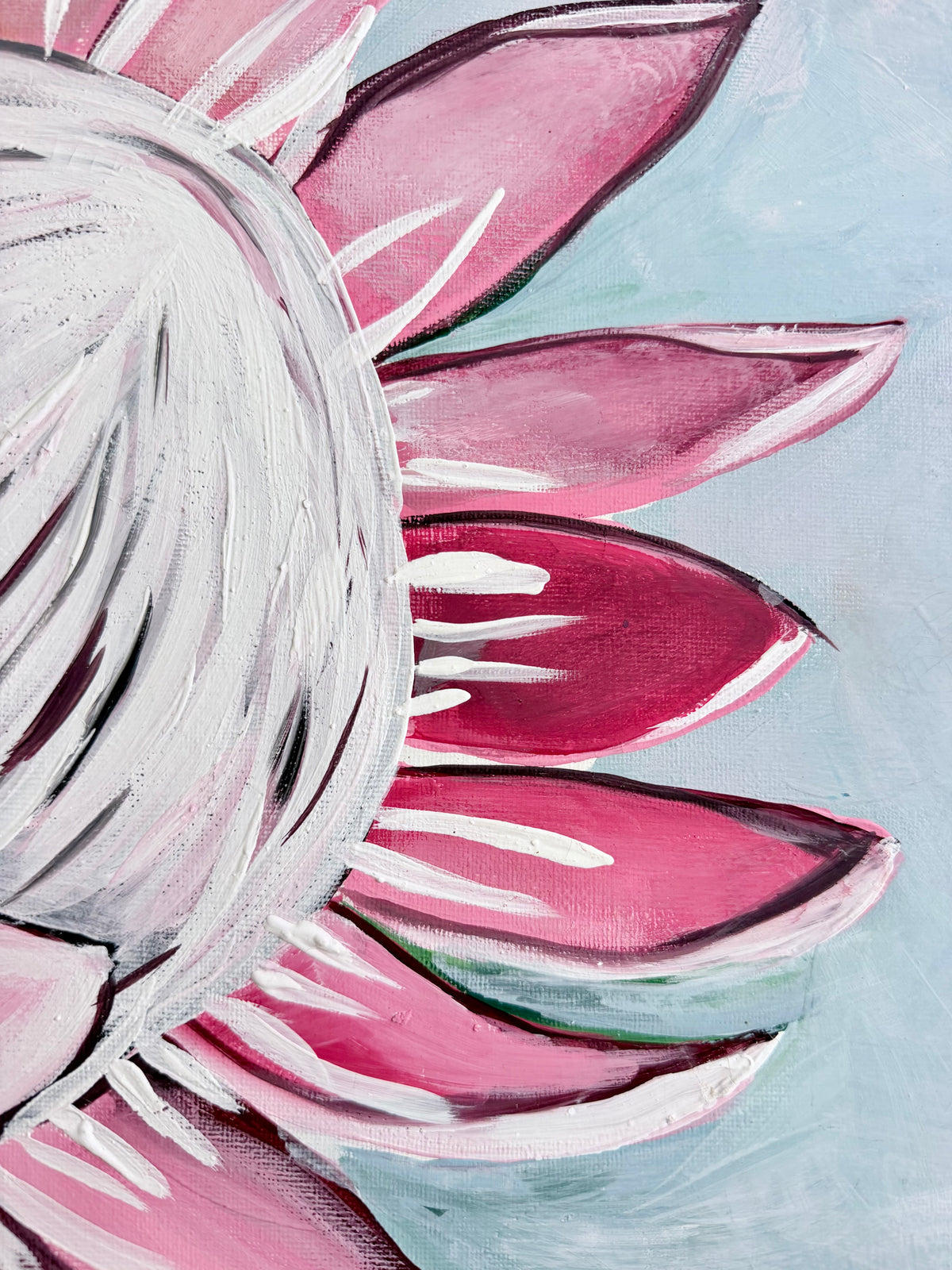 Protea in Bloom